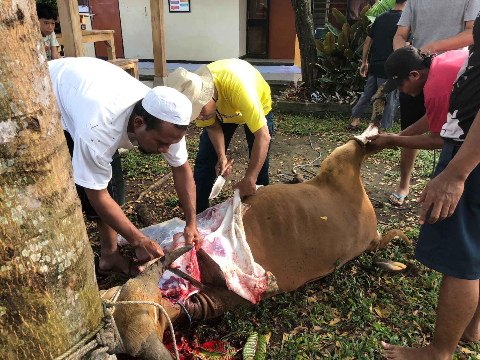 qurban pttun 4